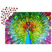 Пазл Красочний павич Colorful Peacock, ENJOY Puzzle  