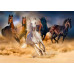 Пазл Лошади бегут в пустыне Horses Running in the Desert, ENJOY Puzzle