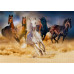Пазл Лошади бегут в пустыне Horses Running in the Desert, ENJOY Puzzle
