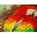 Пазл Яркий попугай Colorful Parrot, ENJOY Puzzle