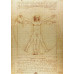 Пазл Витрувианский человек The Vitruvian Man