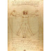 Пазл Витрувианский человек The Vitruvian Man