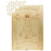 Пазл Витрувианский человек The Vitruvian Man