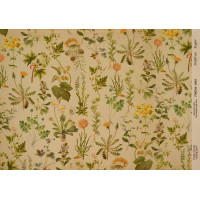 Декупажна карта на крафт-папері 21×29,7 см, Ботаніка Вінтаж, №0084  