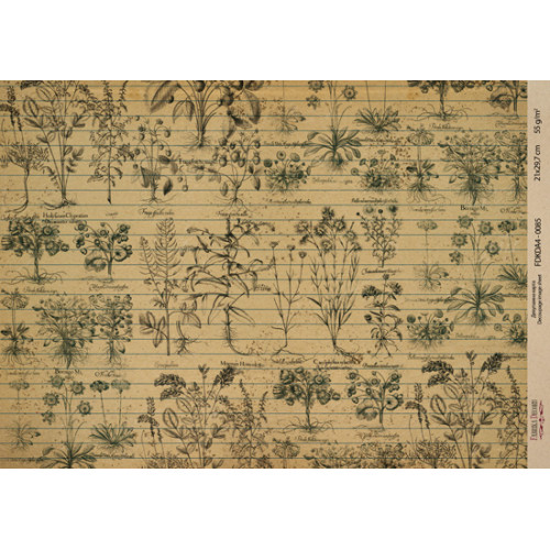 Декупажна карта на крафт-папері 21×29,7 см, Ботаніка Вінтаж, №0085  