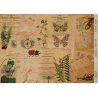 Декупажная карта на крафт бумаге 21x29,7см, Ботаника Винтаж, №0089