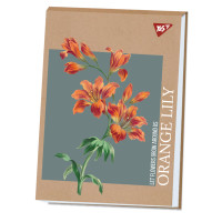 Альбом для рисования YES А4 40 листов склейка белила Lily крафт