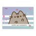 Альбом для рисования YES А4 28 скоба с перфорацией Pusheen