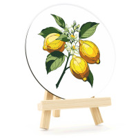 Набір картина за номерами Сонячні лимони, кругла, Ø15 см, з мольбертом ROSA START