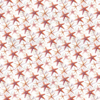 Лист двостороннього паперу для скрапбукінгу Sea soul-1 10,5х10,5 см