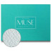 Подарочный набор для творчества и рисования Silva - двухсторонние линеры, акварельные карандаши, раскраска по номерам, акварельная склейка