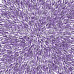 Лист двусторонней бумаги для скрапбукинга Lavender Provence №22-04 30,5×30,5 см  