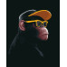Картина за номерами Riviera Blanca Monkey №2 40x50 см (RB-1159)