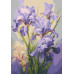 Картина по номерам Riviera Blanca Нежные ирисы 28x40 см (RB-1137)