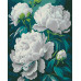 Картина по номерам Riviera Blanca Лучезарная красота 40x50 см (RB-1338)