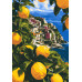 Картина по номерам Riviera Blanca Цитрусовый пейзаж 28x40 см (RB-1299) Картина по номерам Riviera Blanca Цитрусовый пейзаж 28x40 см (RB-1299)