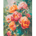 Картина по номерам Riviera Blanca Феерия цвета 40x50 см (RB-1350)