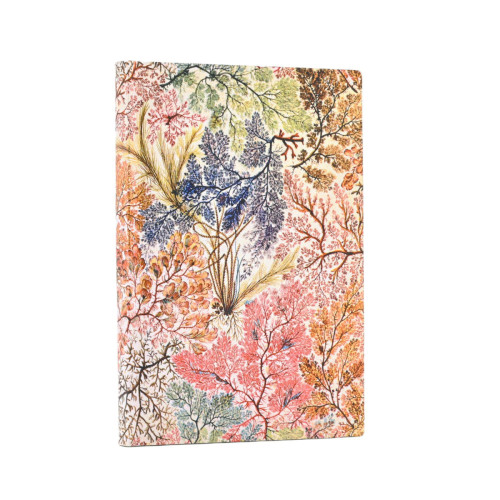 Записная книжка Paperblanks Уильям Килберн – Анемона, карманный Линейка Flexi (9781439799062) Записная книжка Paperblanks Уильям Килберн – Анемона, карманный Линейка Flexi (9781439799062)