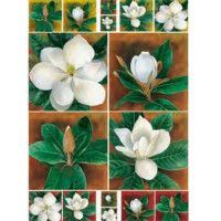 Декупажна карта DECOUPAGE Paper, 50x70 см, №095 Magnolia