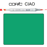 Маркер Copic Ciao № G17 Forest green Зелене листя