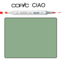 Маркер Copic Ciao № G94 Grayish olive Сірий оливковий