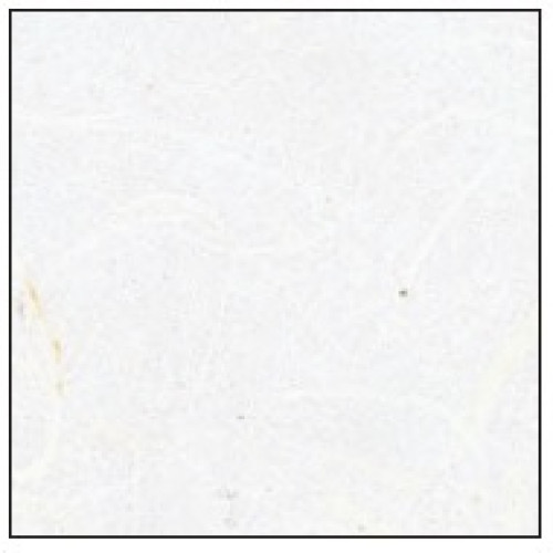 Папір рисовий білий 64x94 см 25 гр