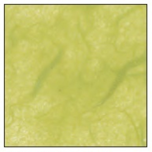 Бумага рисовая желтая кедровая 64x94 см 25 гр
