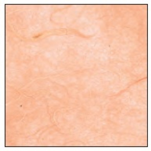 Бумага рисовая цвет гвоздика 64x94 см 25 гр