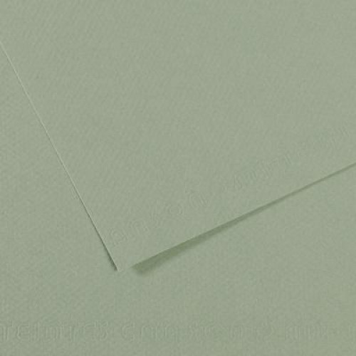 Бумага пастельная A4 Canson Mi-Teintes 160 гр №105 Пастельно-зеленый
