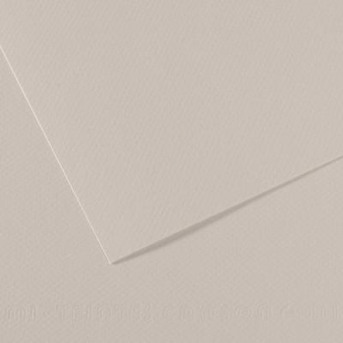 Бумага пастельная A4 Canson Mi-Teintes 160 гр №120 Серый нежный