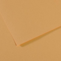 Бумага пастельная A4 Canson Mi-Teintes 160 гр №340 Устричный