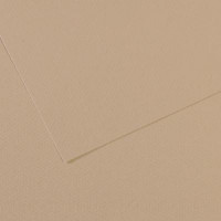 Папір пастельний A4 Canson Mi-Teintes 160 гр №343 Сірий світлий