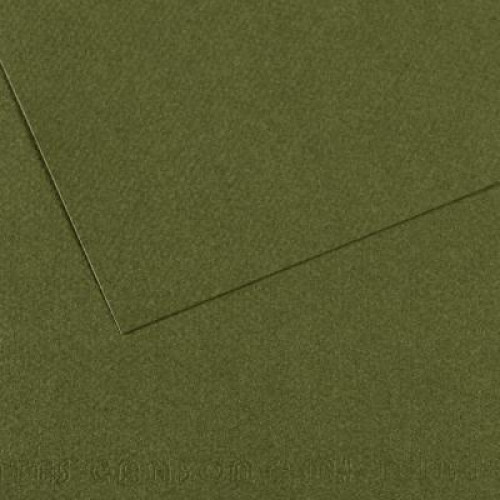 Бумага пастельная A4 Canson Mi-Teintes 160 гр №448 Зеленый темный