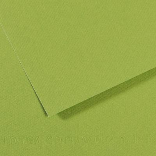 Бумага пастельная A4 Canson Mi-Teintes 160 гр №475 Яблочно-зеленый