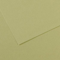 Бумага пастельная A4 Canson Mi-Teintes 160 гр №480 Зеленый светлый